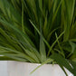 Edgewood - Greenery (Set of 2) - Pearl Silver