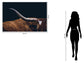 Tempered Glass - Texas Longhorn - Dark Brown