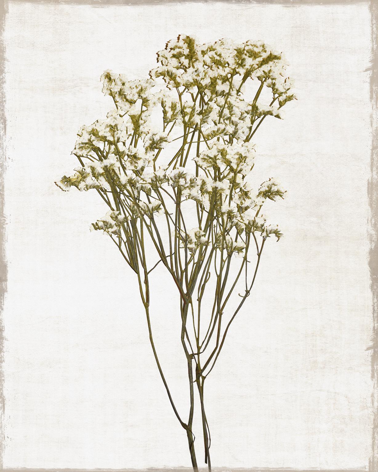 Small - Farmhouse Pressed Flower II By Natalie Carpentieri - Beige