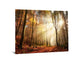 Floating Tempered Glass With Foil Forest In Sunshine - Light Brown