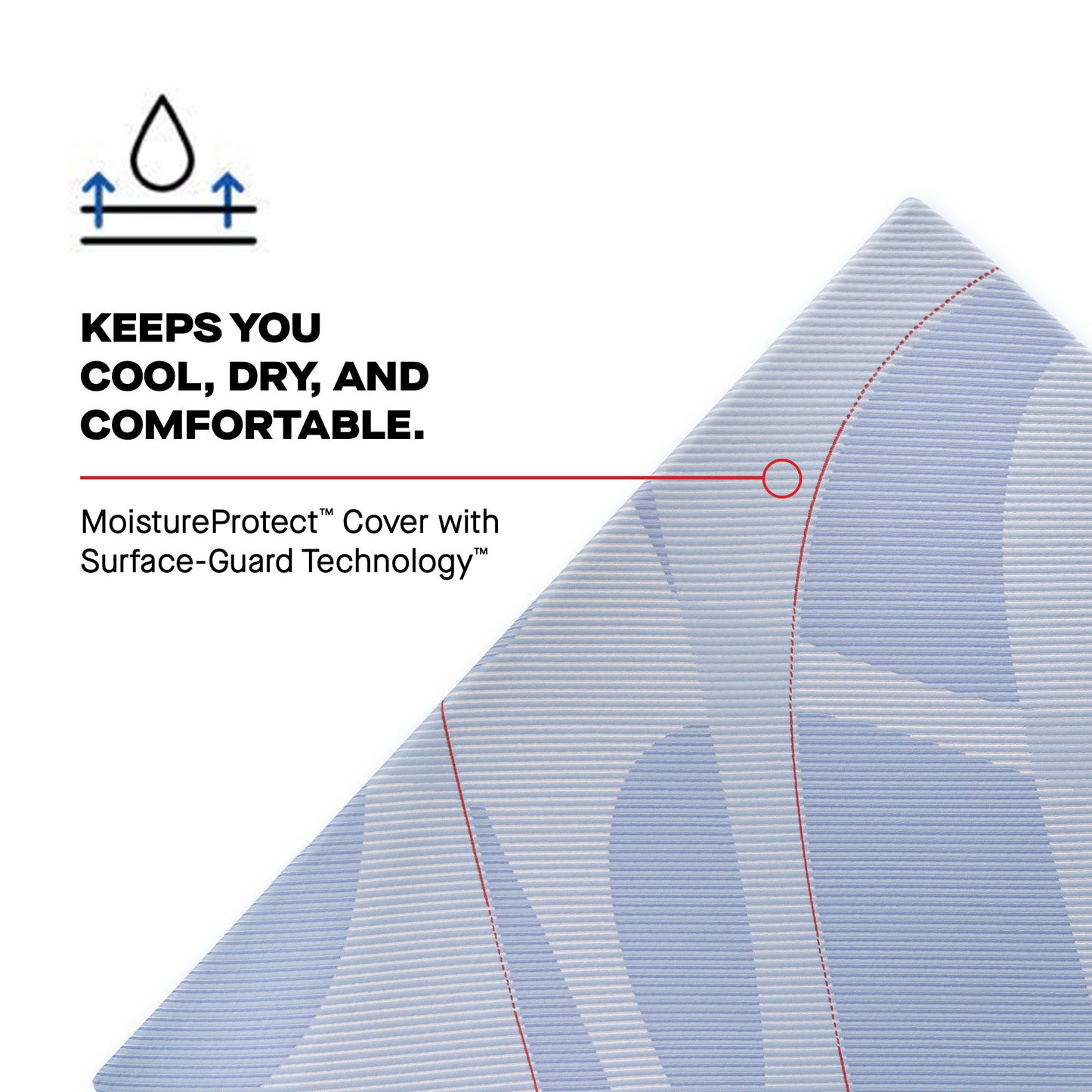 Posturepedic Plus - Plainfield Soft