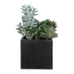 Greystone - Indoor-Outdoor Succulent - Green