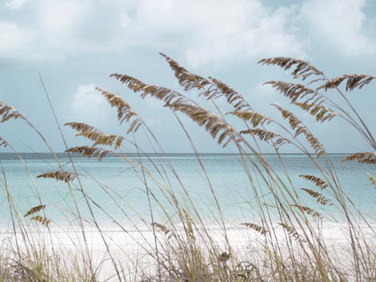 Solitude Beach By Danita Delimont (Framed) - Light Blue