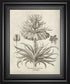 22x26 Fresco Crown Imperial III By Vision Studio - Beige