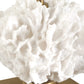 Caronia - Coral Buffet Lamp - Brass / Gold / White