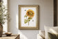 22x26 Harvest Gold Sunflower II By PatriciaPinto - Yellow