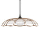 Lakeside - Indoor-Outdoor 1 Light Pendant - Black