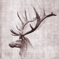 Open Range II By John Butler - Dark Gray
