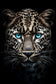 Azure Gaze Majesty - 40" x 60" Framed Wall Art - Black