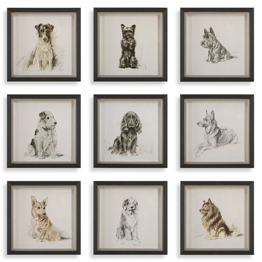 Loyal Companion - Framed Dog Prints (Set of 9)