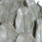 Levlyn - Table Lamp - Pale Green