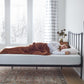 Weekender - 8" Gel Memory Foam Mattress