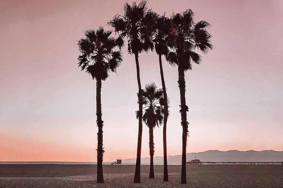 Santa Monica Pinks By Natalie Carpentieri (Framed Small) - Pink