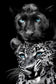 Azure Gaze Duo - 40" x 60" Framed Wall Art - Black
