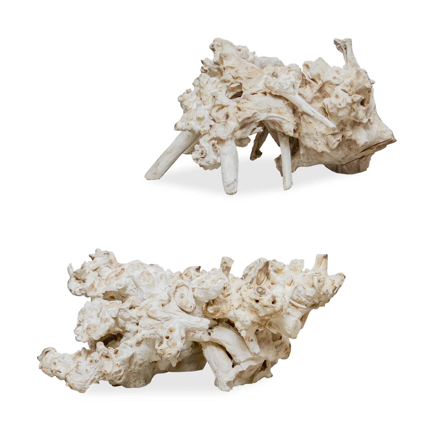 Elemental Root - Outdoor Sculptures (Set of 2) - White