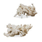 Elemental Root - Outdoor Sculptures (Set of 2) - White