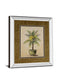 Potted Palm I - Mirror Framed Print Wall Art - Light Brown