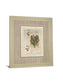 Histoire Du Orchid VII By Carney - Framed Print Wall Art - Green
