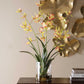 Spider - Orchid In Glass Vase - Green,Pink,Yellow