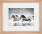 34x40 Horse Run V By PHBurchett - Gray