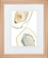 34x40 Ocean Oysters III By June Erica Vess - Gray