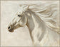 Ivory Breeze - 56" x 70" Framed Wall Art - Gray