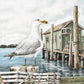 Majestic Seagull By James Harris (Small) - Gray
