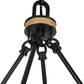 Palm Royal - 8 Light Indoor-Outdoor Chandelier - Black / Light Brown