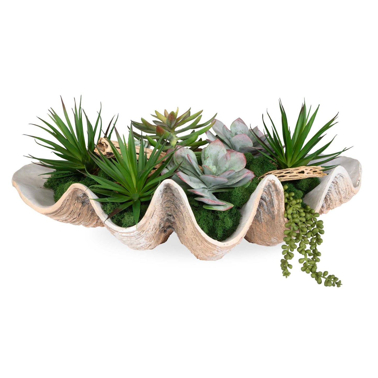 Seaside Breeze - Succulents - Light Brown