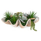 Seaside Breeze - Succulents - Light Brown