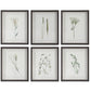Forest - Finds Framed Prints (Set of 6)