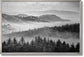 Misty Pine Veil - 32" x 47" Framed Wall Art - Gray