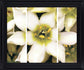 Ivory Petal Radiance - 28" x 34" Framed Wall Art - Beige