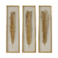 Palma - Leaf Shadow Box (Set of 3) - Gold