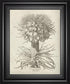22x26 Fresco Crown Imperial I By Vision Studio - Beige