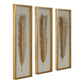 Palma - Leaf Shadow Box (Set of 3) - Gold