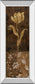 Golden Tulip Il By Tava Studios - Mirror Framed Print Wall Art - Dark Brown