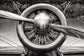 Tempered Glass With Foil - Propeller 2 - Dark Gray