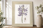 22x26 Lavender Beauties III By Edwards - Purple