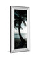 Cool Bimini Palms Il By Susan Bryant - Mirror Framed Print Wall Art - Black