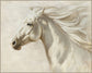 Ivory Breeze - 56" x 70" Framed Wall Art - Gray