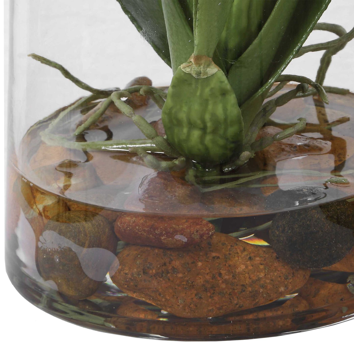 Dancing - Orchid In Glass Vase - Green,Orange