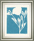 Joyful Spring II By Moira Hershey - Framed Print Wall Art - Blue