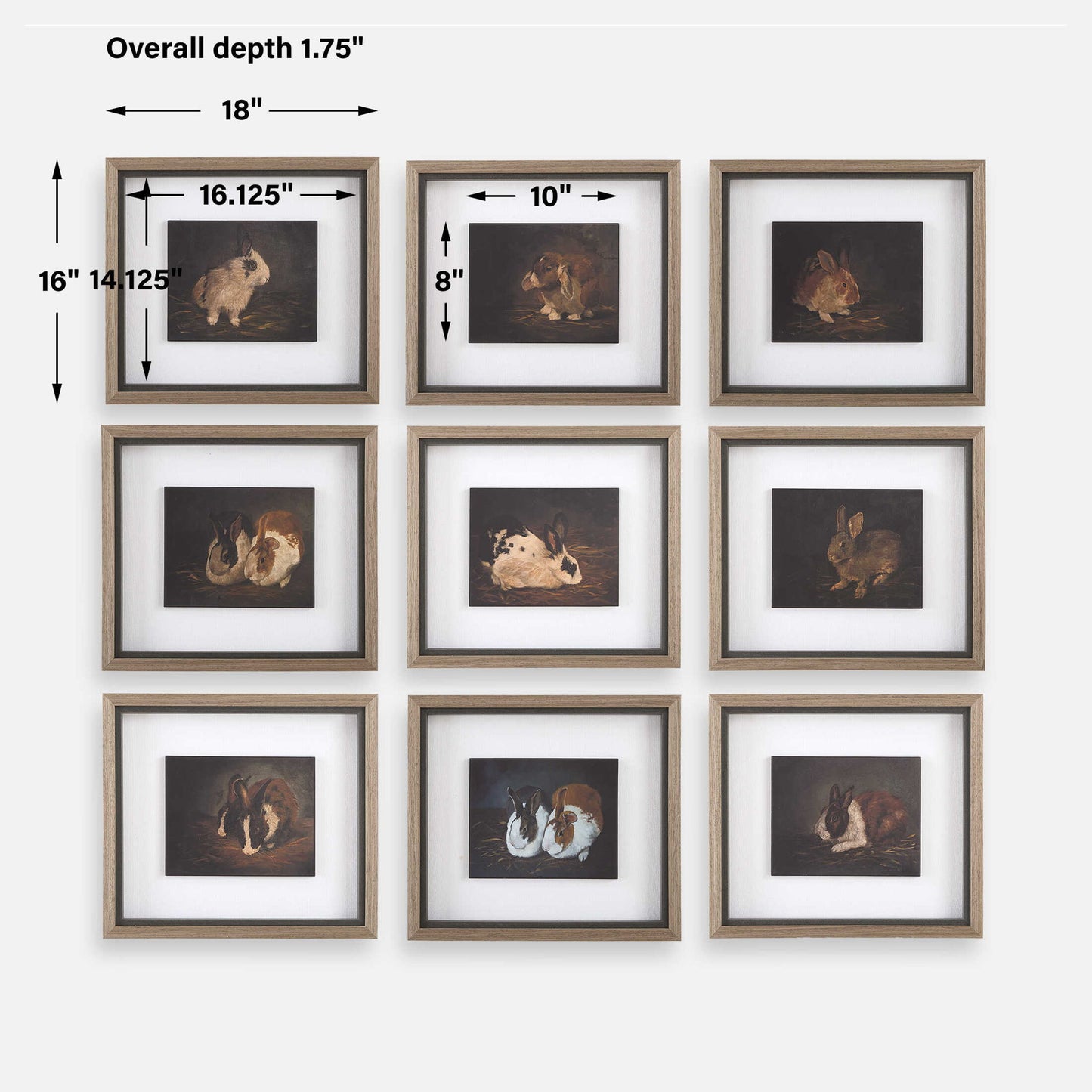 Resting Bunny - Framed Prints (Set of 9) - Dark Brown