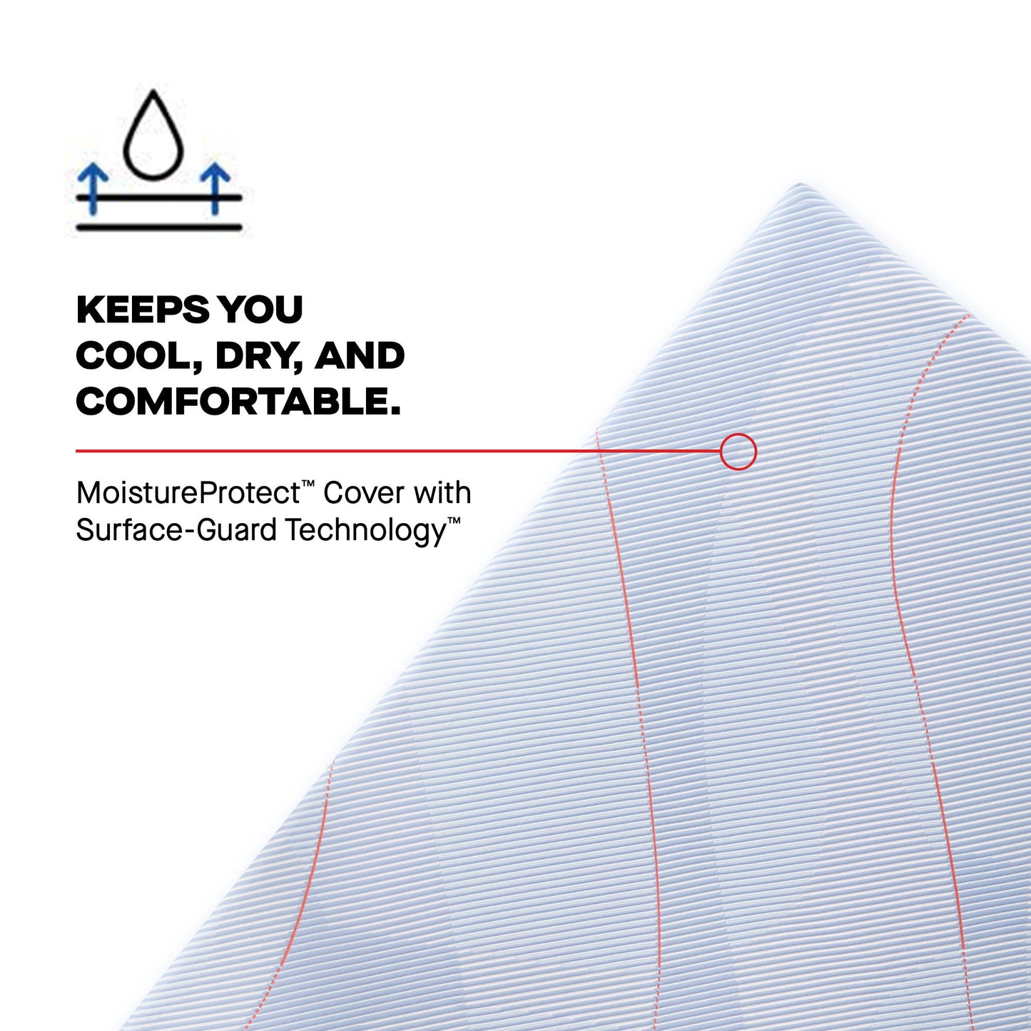 Posturepedic - Orlando Firm