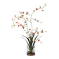 Dancing - Orchid In Glass Vase - Green,Orange
