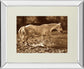 The Crossing By Wendy Caro - Mirror Framed Print Wall Art - Light Brown