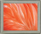 Citrus Plumage - 28" x 34" Framed Wall Art - Orange