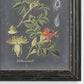 Midnight Botanicals - Wall Art (Set of 2) - Black
