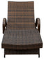 Kantana - Chaise Lounge (Set of 2) - Brown